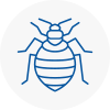 Bed Bug Extermination In Hemsworth