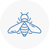 Bee Nest Removal Hemsworth