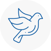 Bird Prevention Hemsworth