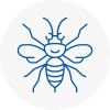 Hemsworth Hornet Nest Removals