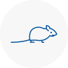 Mice Exterminators In Hemsworth
