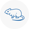 Rat Control Hemsworth