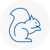 Hemsworth Rodent Removals