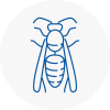 Hemsworth Wasp Nest Removal